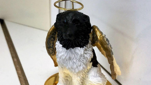 geschenke8 hund rochus apotheke