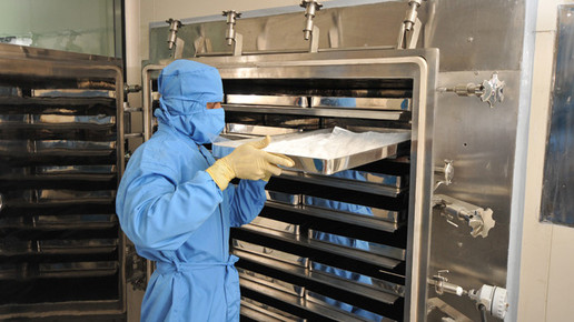 Alkem Mandava01 alkem