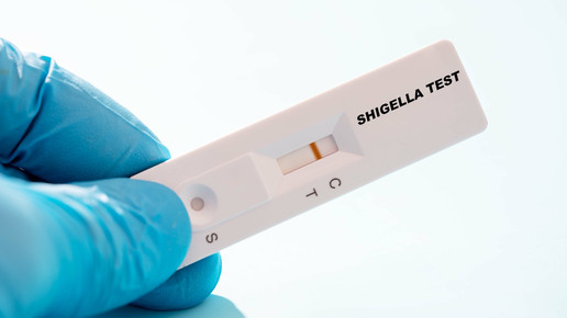 Shigellen gegen Azithromycin resistent