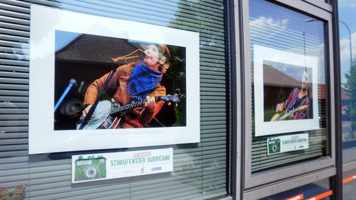 hurricane beeke-apo 02 beekeapo