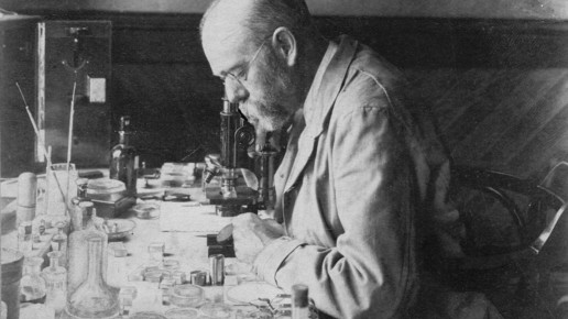 160624 robert koch mikroskop rki