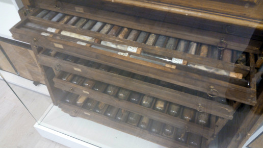 apo dr kammerer herbarium4 kammerer