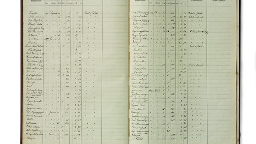 apotheke warenbuch ebert jacobi