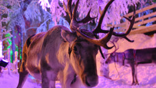 Die Weihnachtsmann-Apotheke