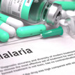 Malaria: Digitales Siegel gegen Fälschungen