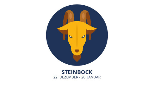 steinbock