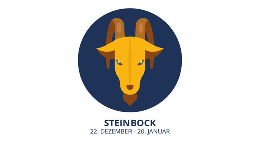 steinbock