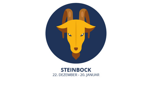 steinbock