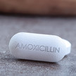 Puren: Neue Amoxicillin-Produkte ab Juli