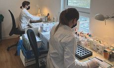 PTA sitzen am Tisch und Verblistern.