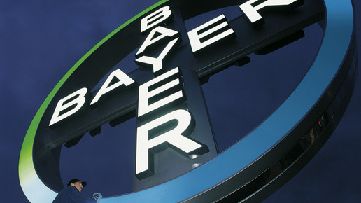 bayer kreuz bayer