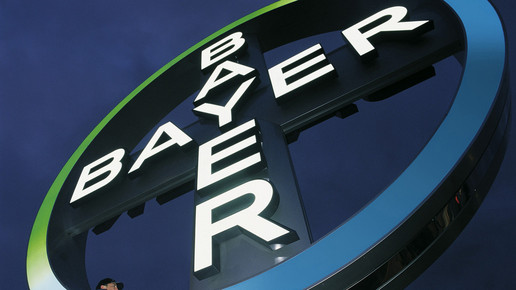 bayer kreuz bayer