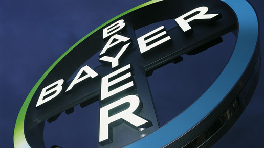bayer kreuz bayer