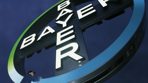 bayer kreuz bayer