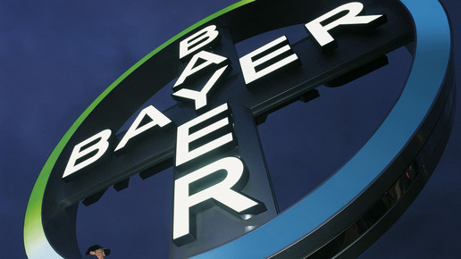 bayer kreuz bayer