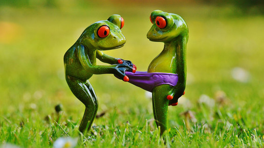 Boxershort-Träger haben mehr Spermien