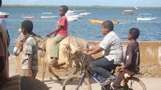 Lamu Kenia