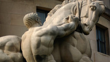 Die weltgrößten Generikahersteller