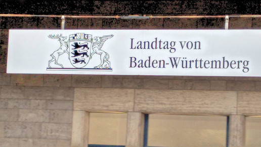 landtag bawue martina braun