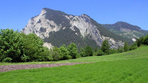 schweiz feld2 alpnutrition