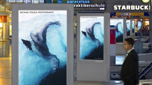 stroeer anzeige stroeer