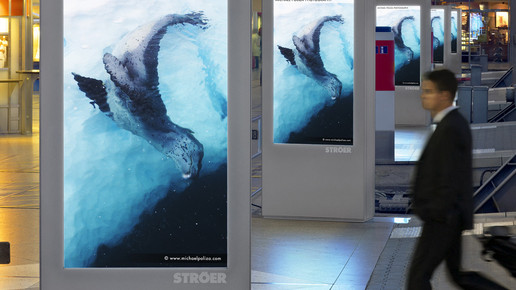 stroeer anzeige stroeer