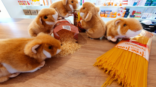 Richtig „hamstern": Apotheker verlost Plüschtiere