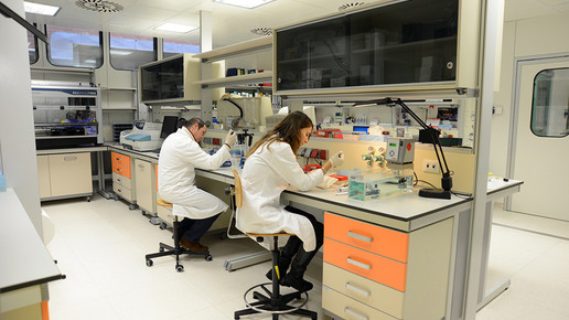 R-M-labor-13-rottapharmmadaus