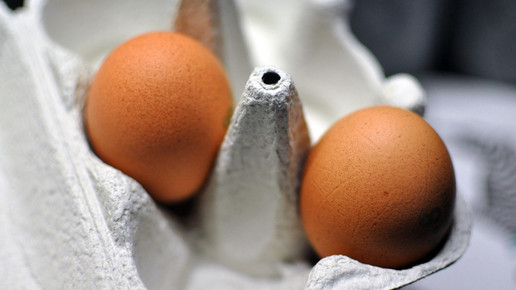 Salmonellenwarnung für Bio-Eier