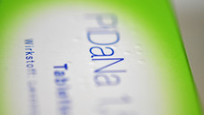 PiDaNa zwischen Bibel und Grundgesetz PiDaNa zwischen Bibel und Grundgesetz