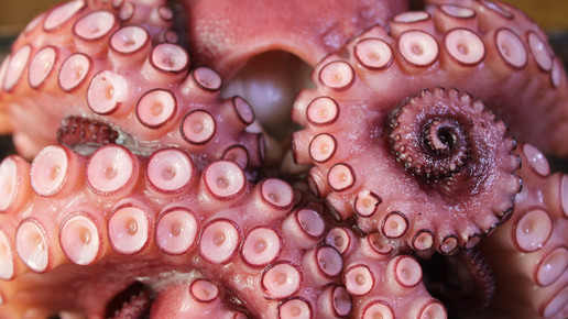 Injektion adė: Wirkstoffe per Saugnapf verabreichen