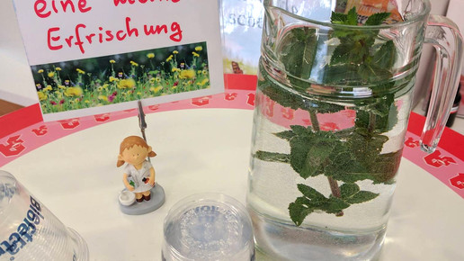 Wallonen-Apotheke Otterberg Minztee Wallonen-Apotheke o