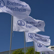 Fahnen von Boehringer