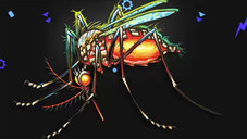 So groovt Dodo zu „Anti-Brumm“