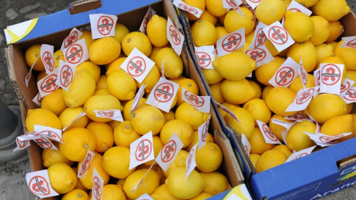 0003-zitronen eh aaneu