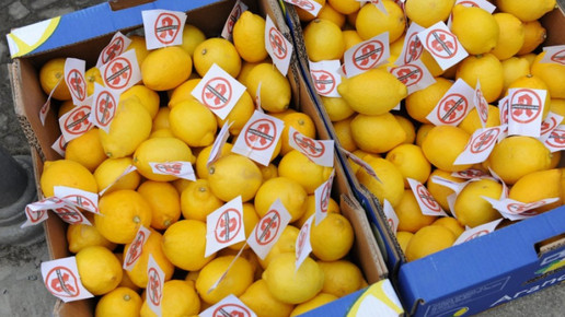 0003-zitronen eh aaneu