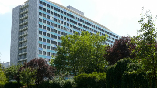 0006-destatis destatis