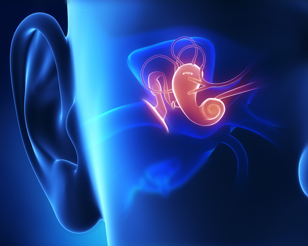 Anatomische Erkältungsreise: Ohren