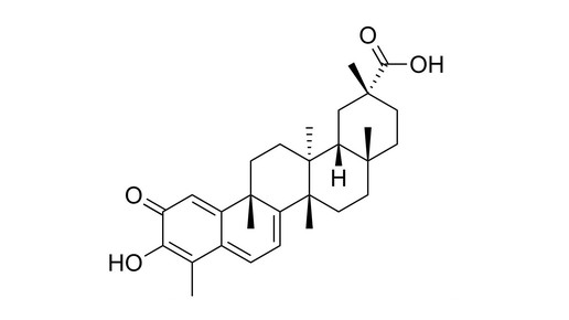 Dreiflügelfrucht: TCM-Pflanze als Abnehmhilfe