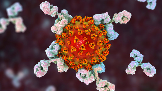 Spahn: 400 Millionen Euro für Antikörper-Therapie