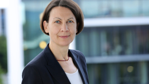 mylan heike streu mylan