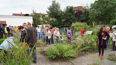 Es grünt so grün, ...