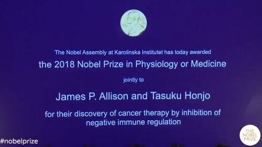 Medizin-Nobelpreis für neue Krebstherapien