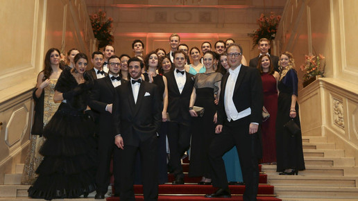 wellan ballderpharmacie 04 wellan