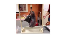 Endlich Nichtraucher – per Video?