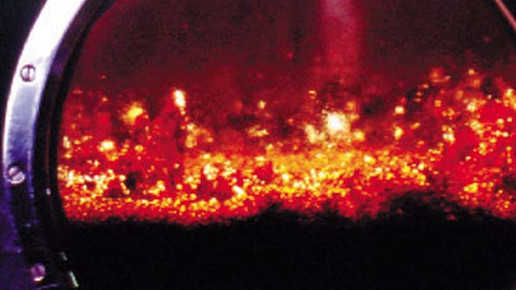 ginkgo05 trocknung2 schwabe