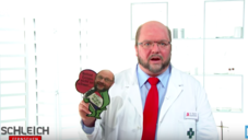 Apotheker Martin Schulz