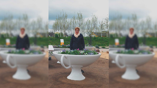 Apothekergarten: Hochbeet-Tassen zur Bundesgartenschau