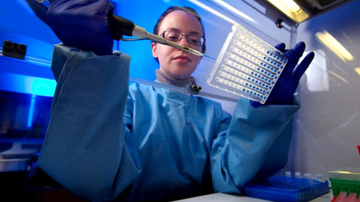 PCR labor CDC Melissa Dankel