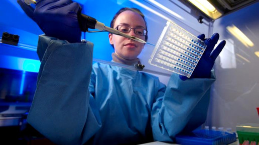 PCR labor CDC Melissa Dankel